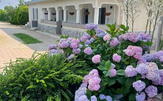 Casa visurilor cu 4000 mp livada roditoare si gradina Darmanesti-Arges - Poză 27