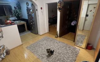 Apartament 4 camere - Poză 1