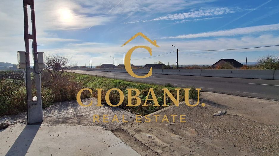 Hala de vanzare in Racarii de Jos - Poză 19