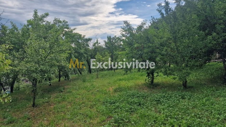 Teren intravilan 1400mp-Albota! - Poză 2