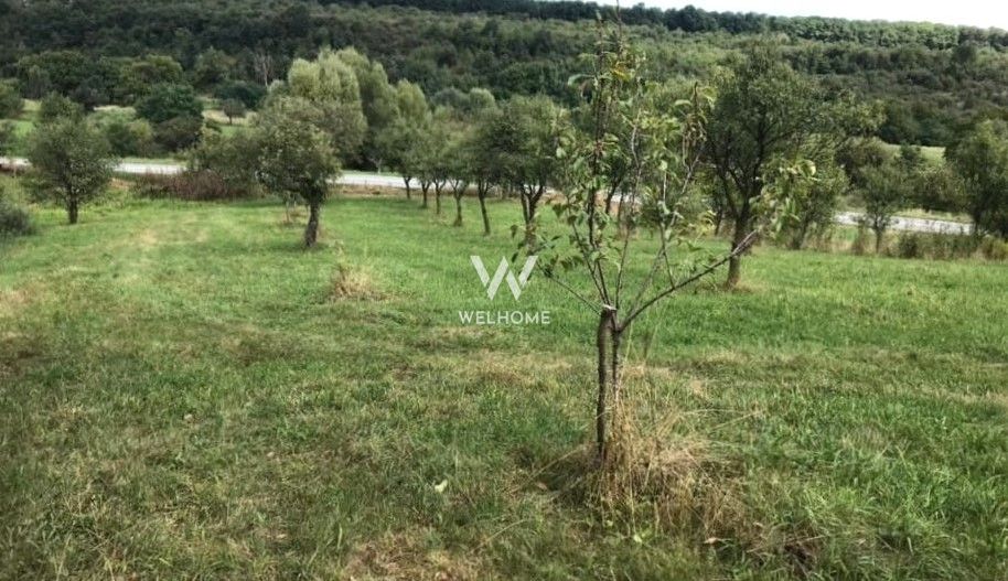 Teren extravilan - Sibiel, Sibiu - Poză 3