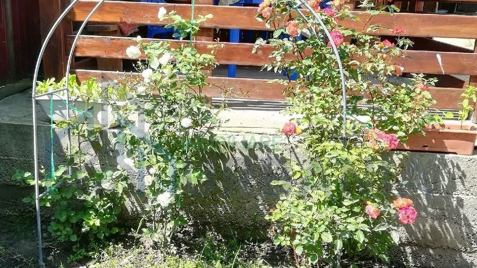 Casă cu teren în Deleni, Iași - Stradă principală - Poză 6