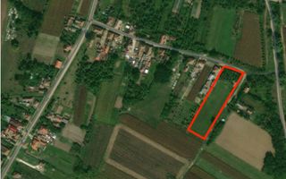 Vând proprietate deosebită, 8 km de Satu Mare – Apateu - Poză 4