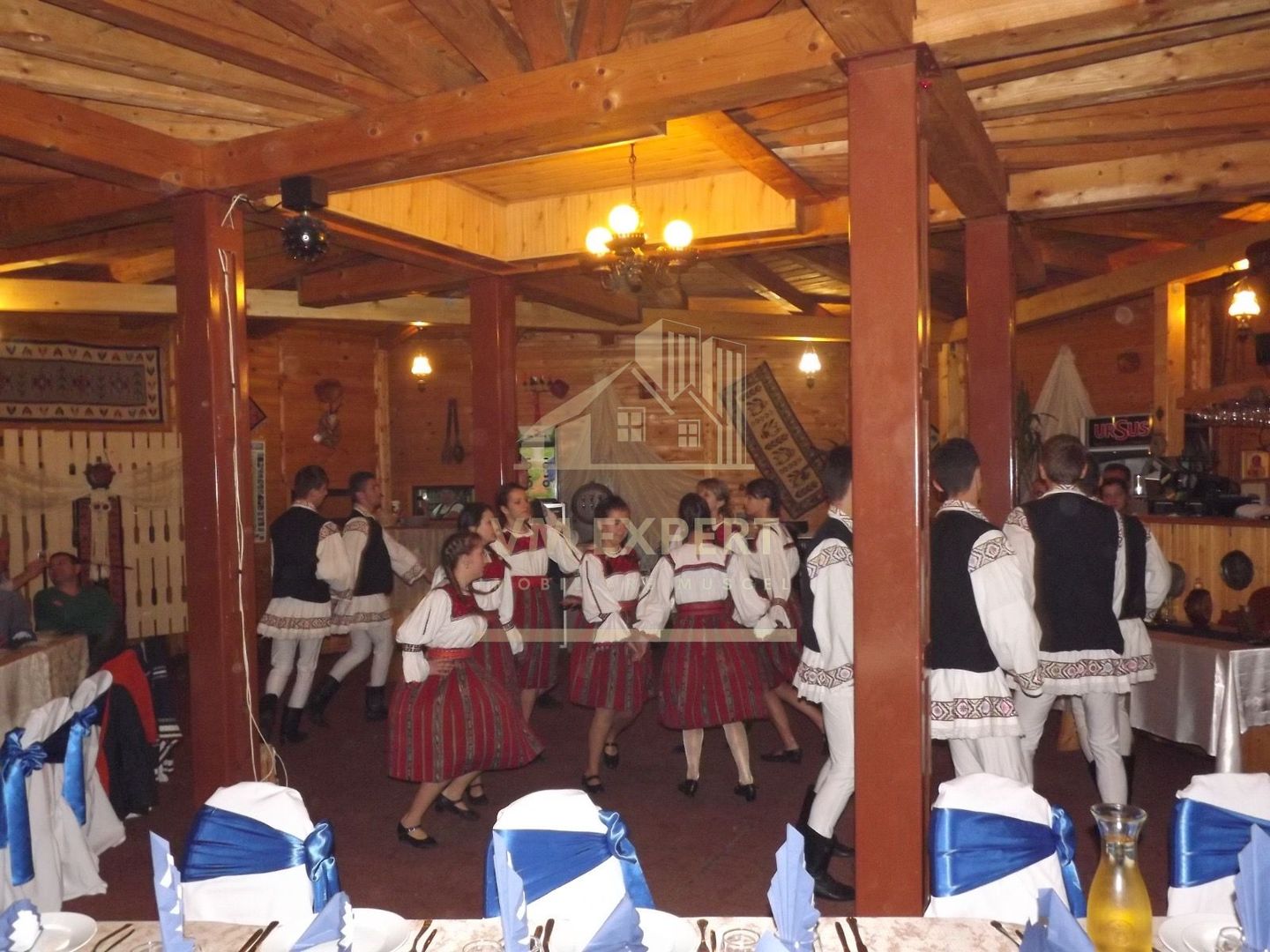 VILA - PENSIUNE CU RESTAURANT + SI TEREN 6406 MP, VALEA MARE PRAVAT, - Poză 8