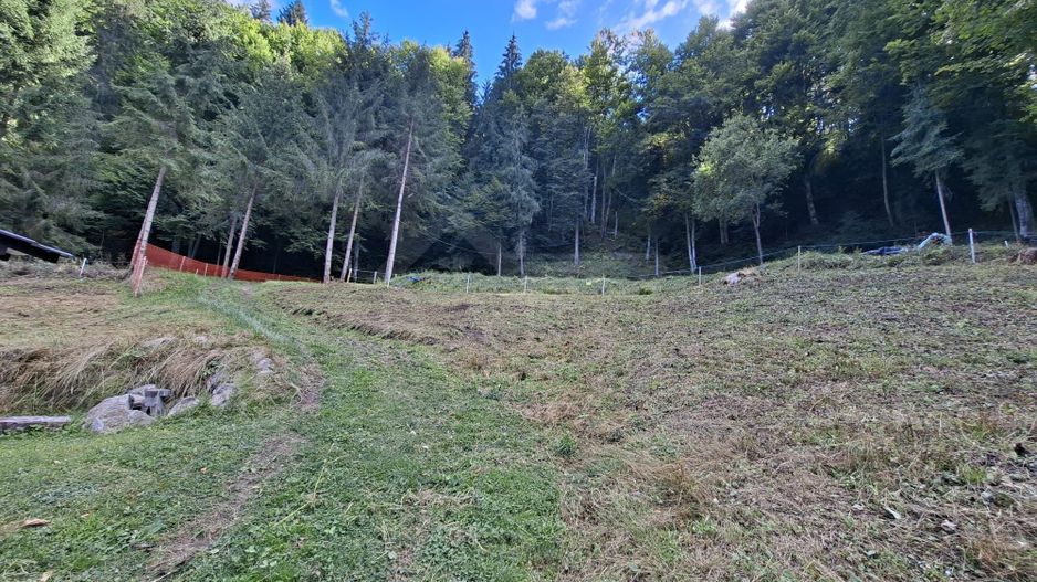 Teren intravilan la munte - Poză 5