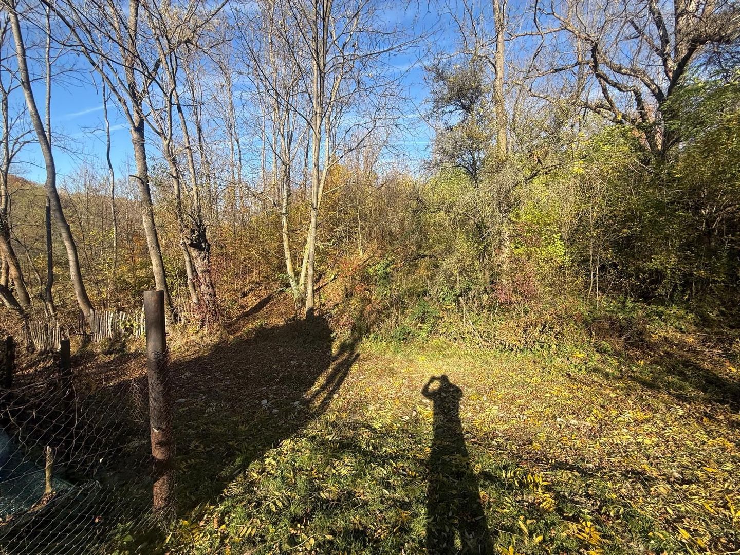 Teren langa pădure 6400mp+casa demolabila-deschidere 35 ml - Poză 4