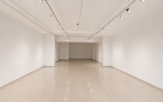 Chirie, spațiu comercial 102 mp,  str. Ioana Radu, Buicani - Poză 5