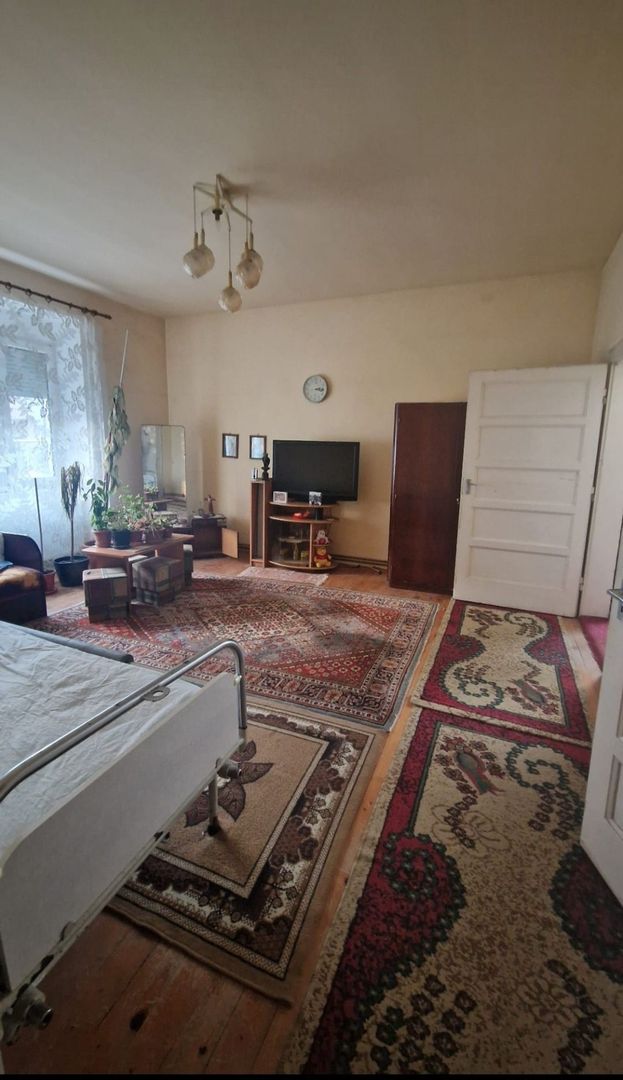 Casa de vânzare Ana Ipatescu Satu Mare mare - Poză 7