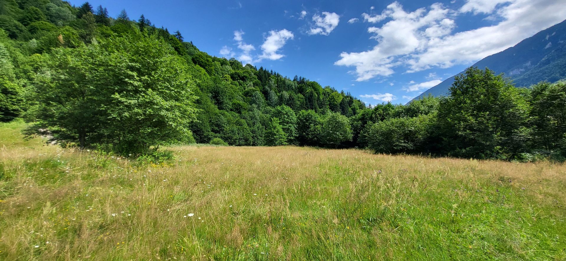 Plaiul Foii, teren pretabil casă de vacanță, pensiune, comision 0% - Poză 5