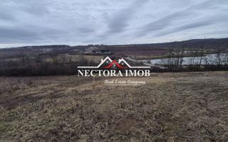 NECTORA IMOB-Teren Intravilan Zona Paleu, 589 mp, Vedere LAC,Utilitati - Poză 1