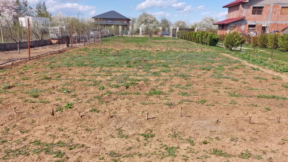 0%comision - Teren Tancabesti ingradit - Poză 6