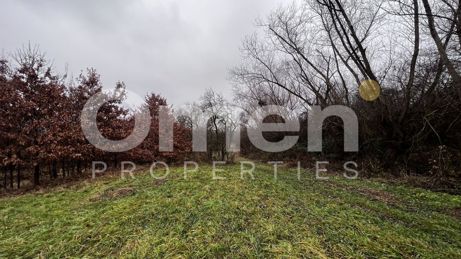 Teren intravilan | 30 ari | front stradal 50 m | investitie ideala | Mocira. - Poză 2