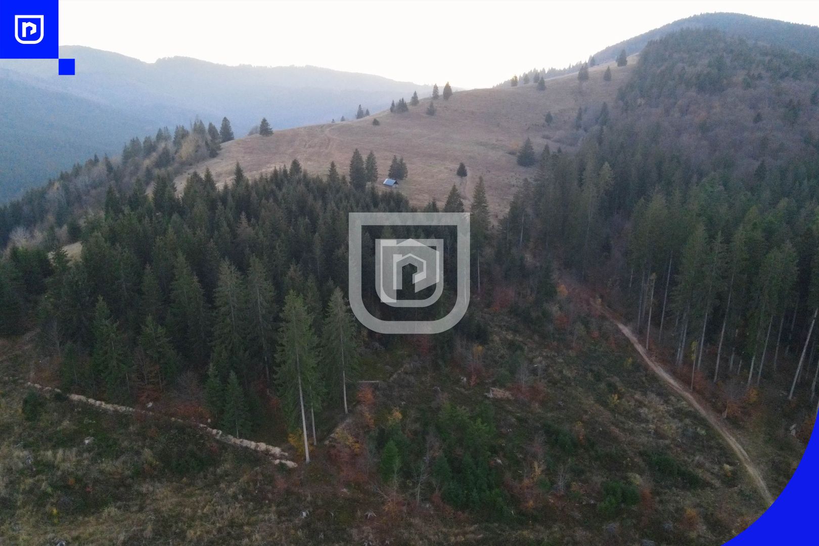 Teren situat in Frasin | BUCOVINA - Poză 5