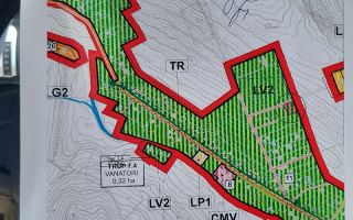 Teren intravilan de 869 mp în Vânători - Poză 1