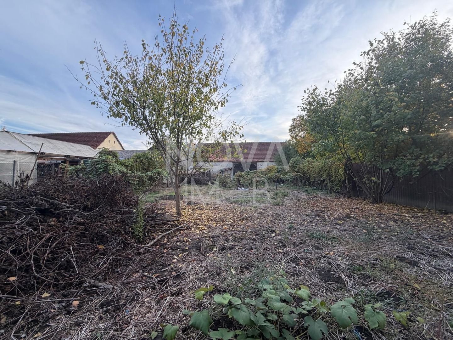 CASA DE VANZARE IN AVRIG – SPATIU GENEROS - Poză 14