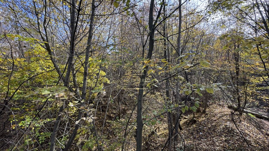 TEREN INTRAVILAN 13167 MP BUGHEA DE SUS ARGES - Poză 29