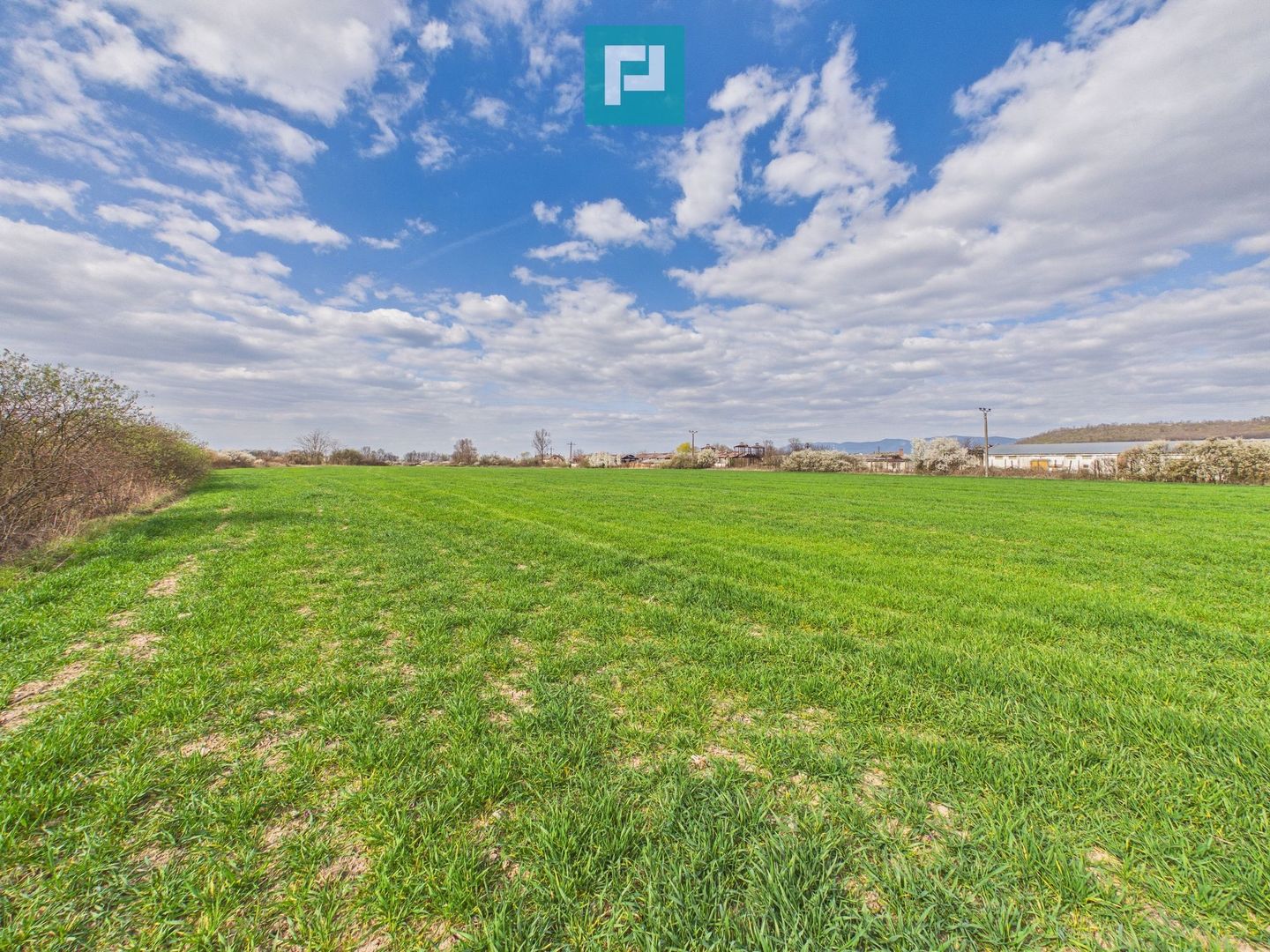 Teren extravilan, 1 ha, în orașul Sebiș, Arad - Poză 10