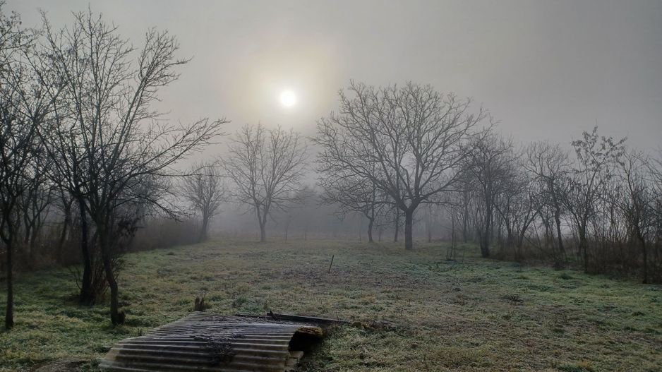 Casă și teren, 1.000 mp, Ciulești. 18.000 E. Comision 0 - Poză 8