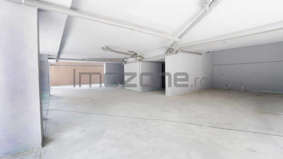 The Building 50 - Ramura Jiului 17 - Poză 5