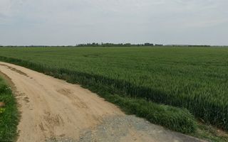 Teren intravilan de vanzare 1455 mp, Dragomiresti-Vale - Poză 5
