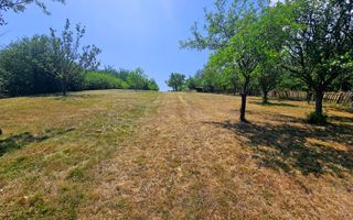 Casa tip cabana de vacanta, 5 camere, 2300 mp teren, zona Schit - Poză 4