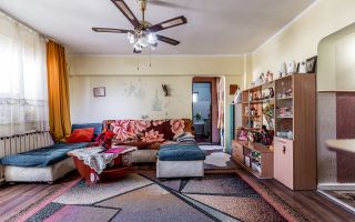 Apartament cu 5 camere pe Splaiul General Gheorghe Magheru, Micălaca - Poză 6