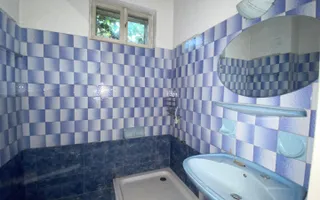 DE VANZARE CASA 4 CAMERE PIVNITA SI POD | 122MP | COTROCENI - Poză 16