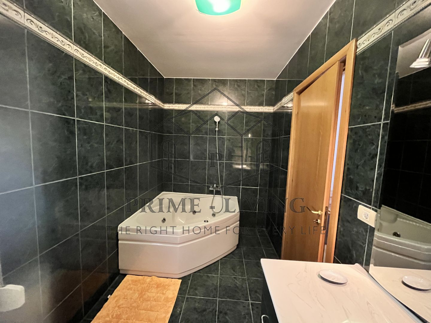 VILA CU 7 CAMERE IN COMPLEX REZIDENTIAL IN IANCU NICOLAE - Poză 20