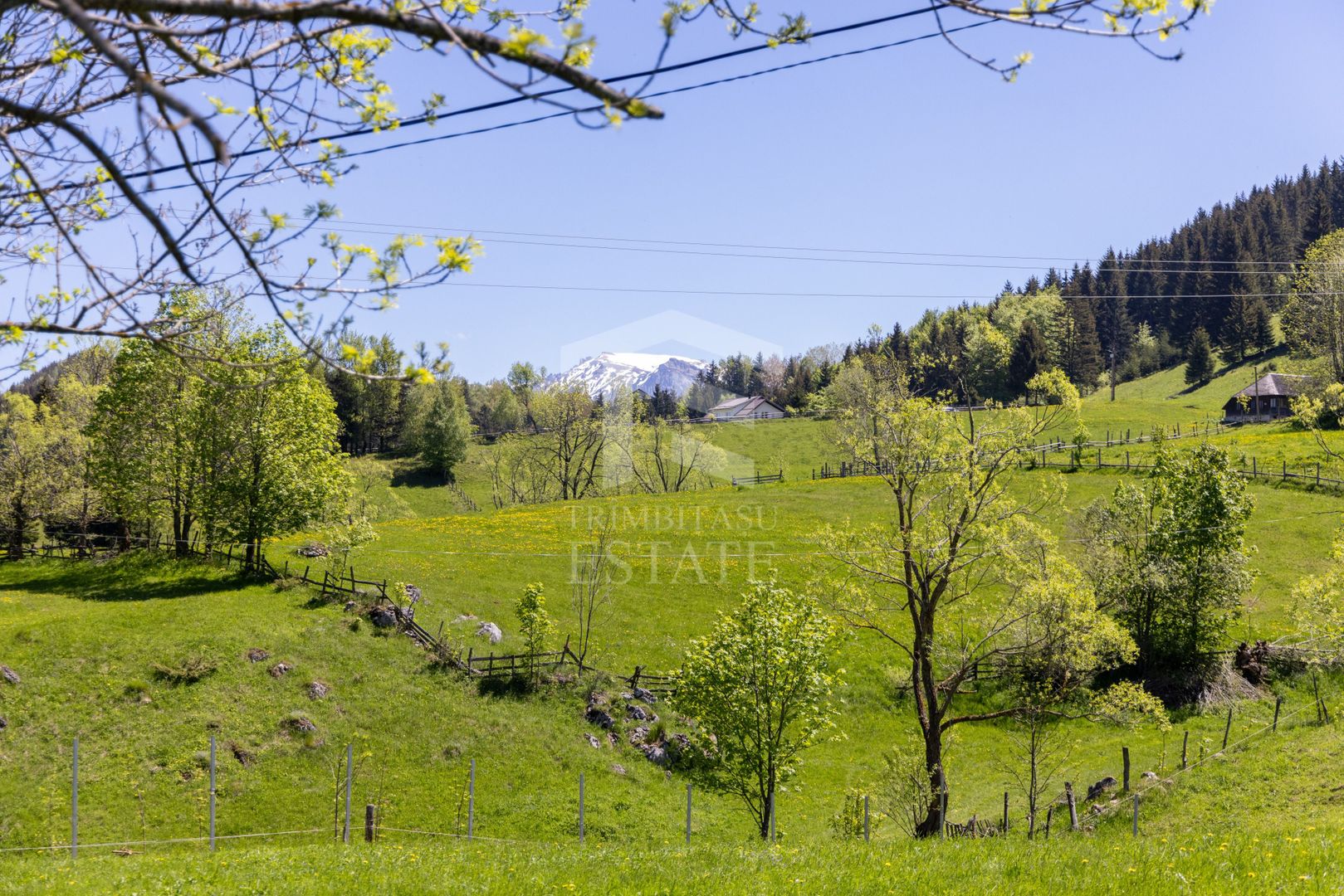 Fundata | Teren de vanzare | 7,656 mp + Cabane tip A Frame - Poză 9