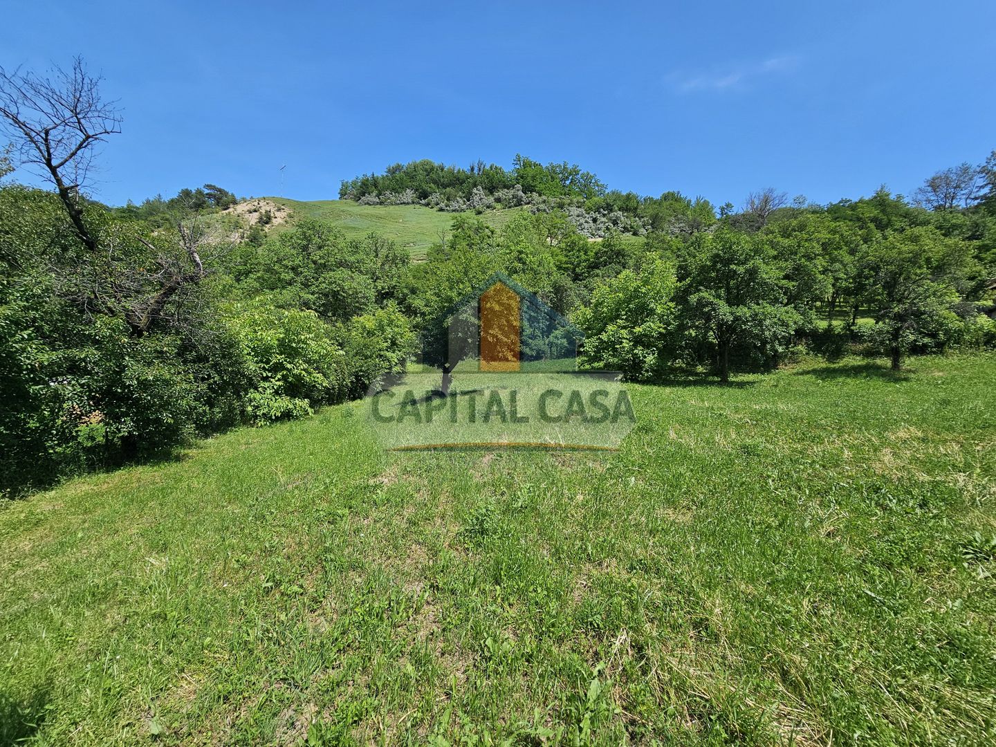 Teren de Vanzare in Plopu - Darmanesti, cu toate utilitatile - Poză 5