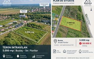 Teren intravilan 5.000 mp | PUZ | Buziaș |10 mp - Poză 2