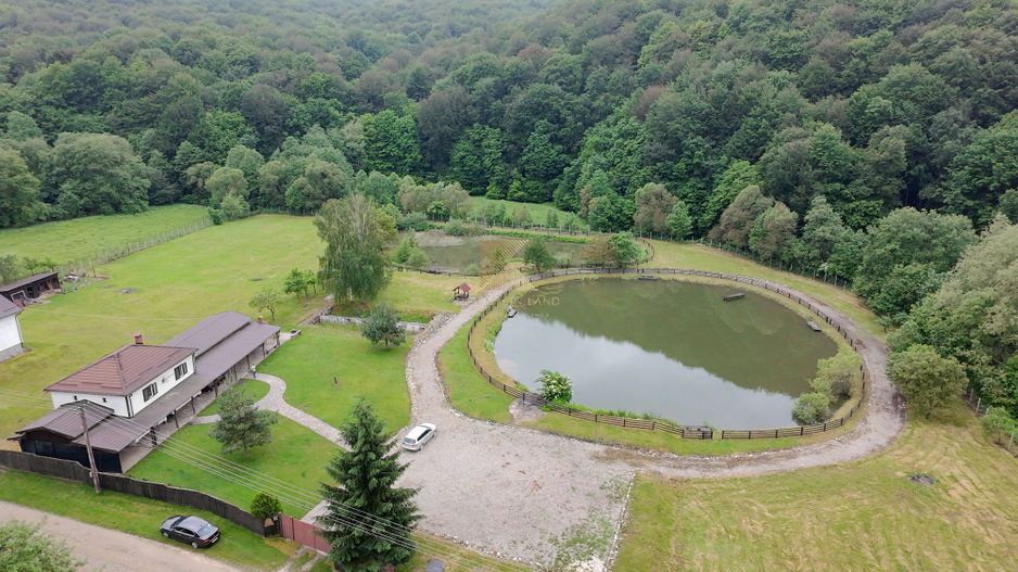 Complex turistic și proprietate deosebită de vânzare în Valea Dobârlău - Poză 1