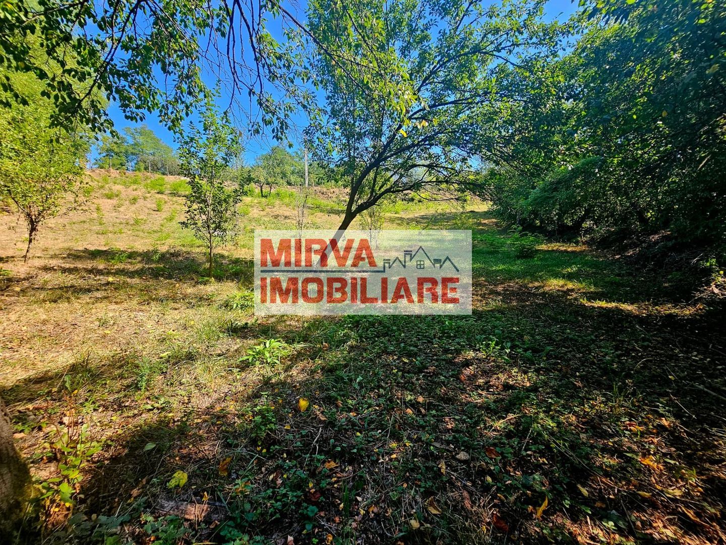 🌳 Teren intravilan 2322 mp, Păcuri – vedere superbă spre pădure! 🏡✨ - Poză 7