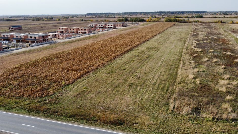 Teren PUZ rezidential-Bucovat (Remetea Mare) - Poză 4