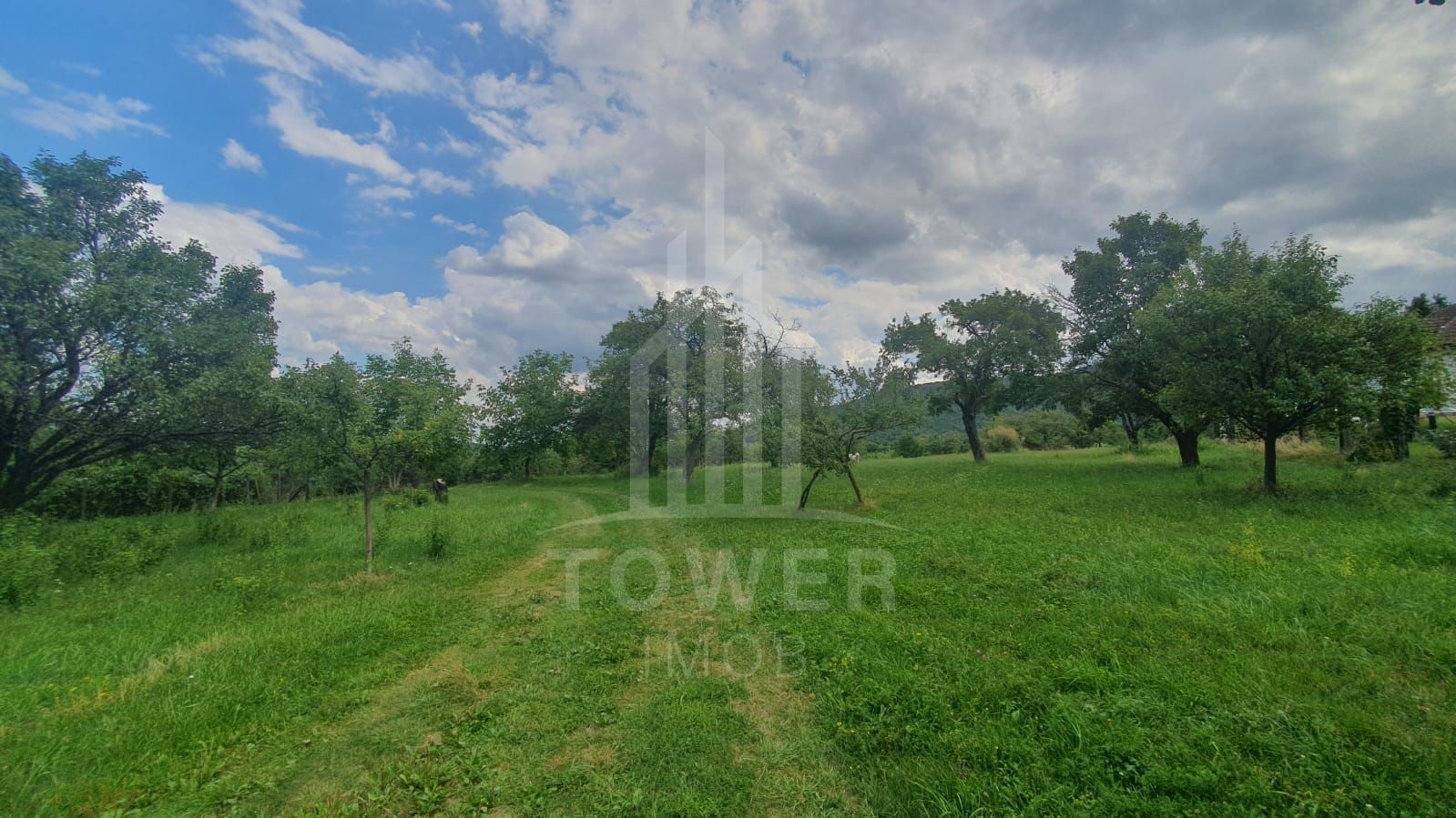 Teren de vanzare in Sibiel . - Poză 1