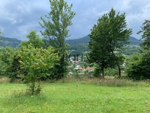 Teren intravilan 5360mp Bistrita Nasaud | Tiha Bârgăului - Poză 3