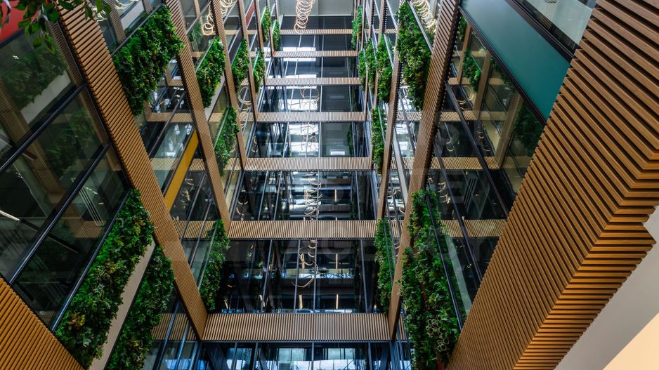 Chirie, oficiu premium, 280 mp, strada 31 August 1989, Centru - Poză 32