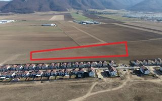 Teren 12.500 mp Ghimbav – Cartierul Florilor | Ghimbav | Braşov - Poză 6