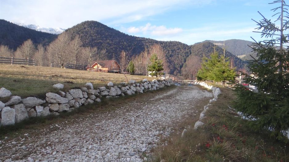 In locatia de basm: - Pestera, Moieciu, Brasov, utilitati, accesibilitate - Poză 16