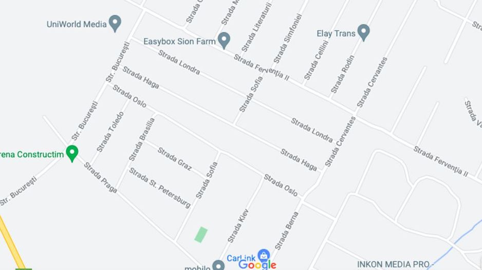 Teren Dumbravita str Bucuresti-581 mp - Poză 2