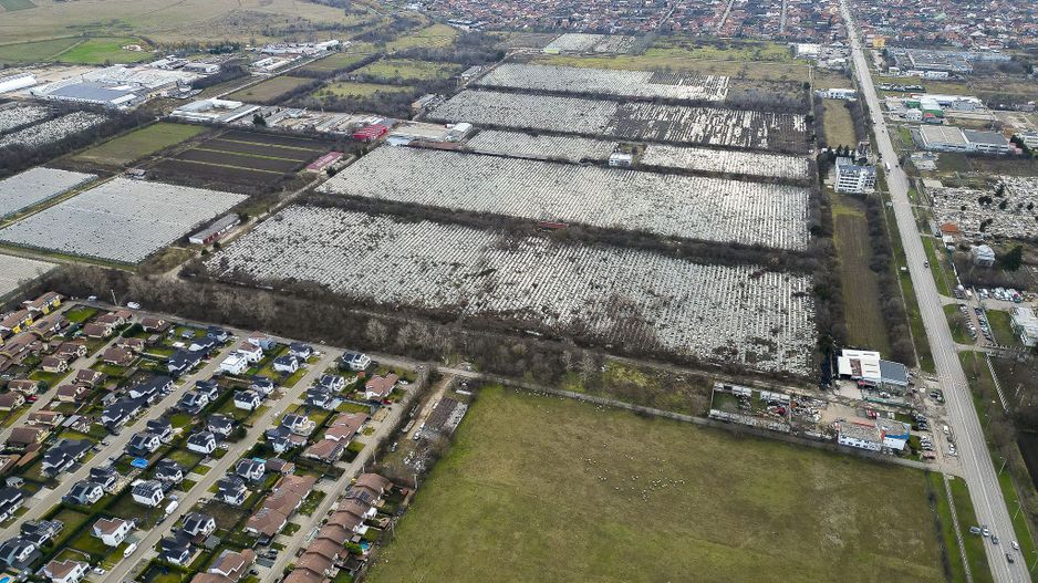 Teren Intravilan de 15.300 mp în Grădiște, Arad - Poză 2