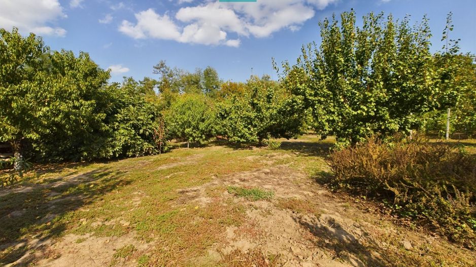 Casă cu teren 2877 mp, orașul Ineu - Poză 7