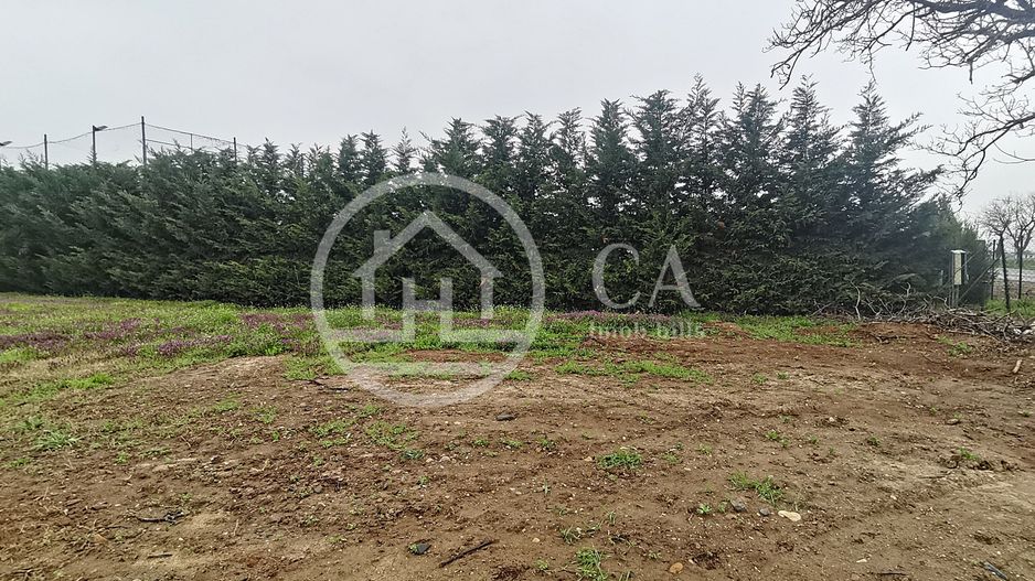 Teren intravilan de inchiriat in Santandrei, Bihor - Poză 2