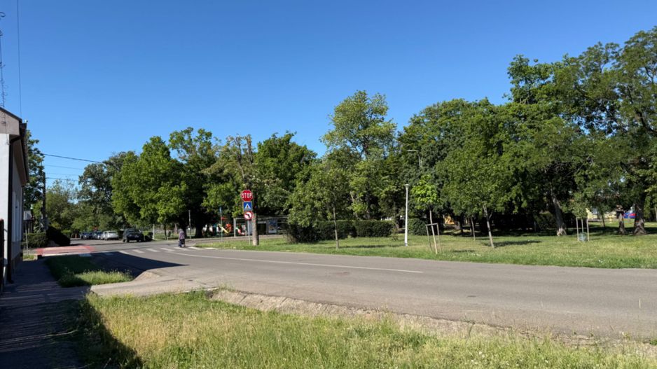 Casa renovată 1500 mp teren in Iosia | Parcul Ghioceilor - Poză 14