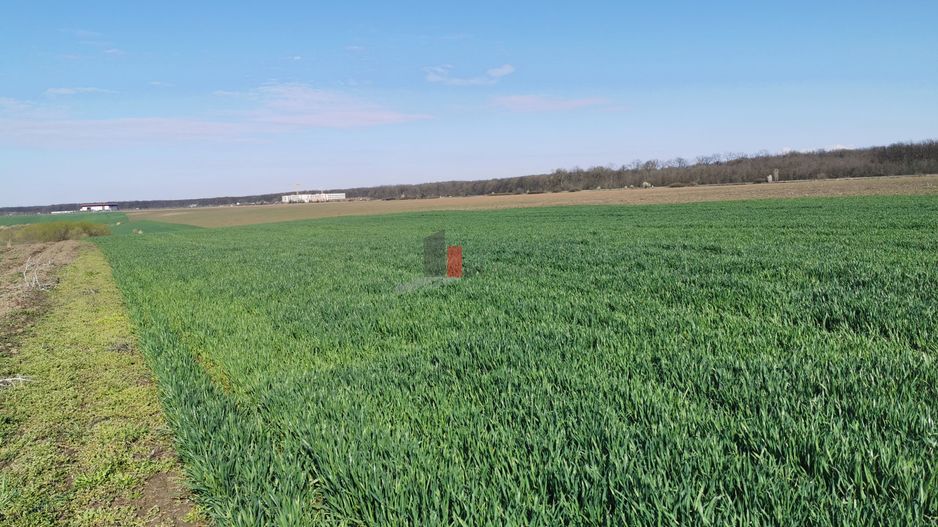 6,9 ha mp | 25 euro/mp |  in spate la Jumbo. - Poză 2