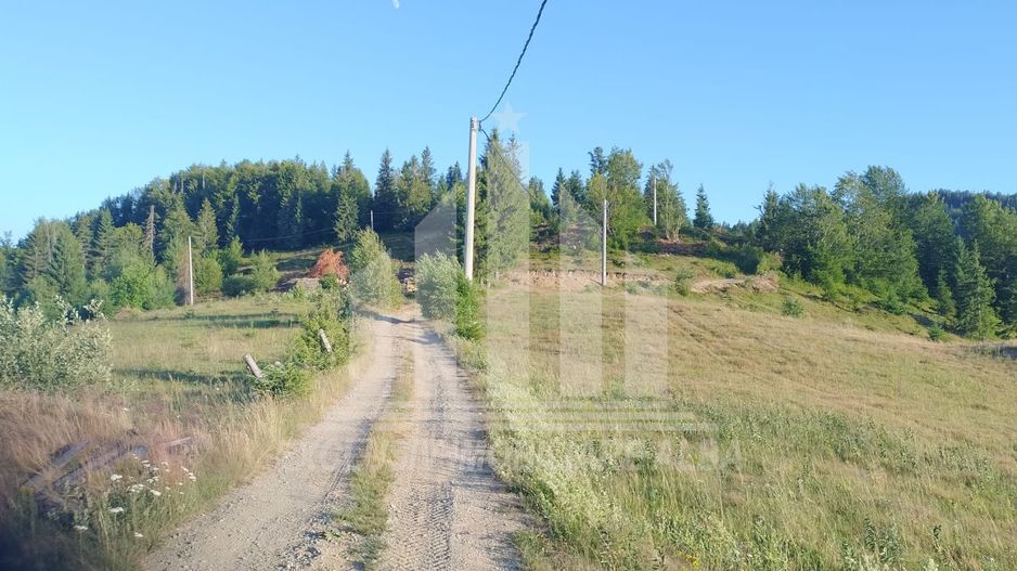 Teren pretabil constructie cabane in Garda de Sus - Poză 1