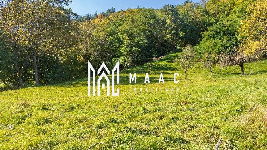 Teren | Intravilan | 2439 MPU | Fântânele - Poză 7