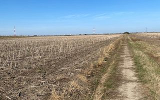 Teren agricol în Zona Sagului - Poză 6