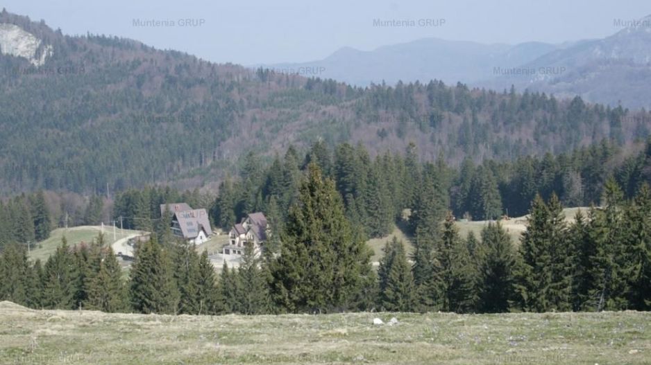 VALEA DOFTANEI - Traisteni, langa Conacul Dascalu, vanzare 2.537 mp. teren - Poză 1
