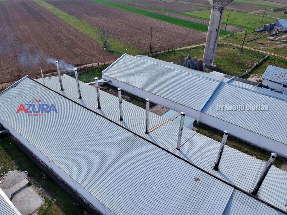 COMISION 0% - HALE Calinesti Arges - Poză 13